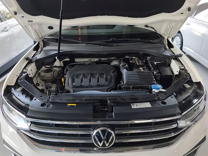 Фото 20 - Volkswagen Tiguan L Pro