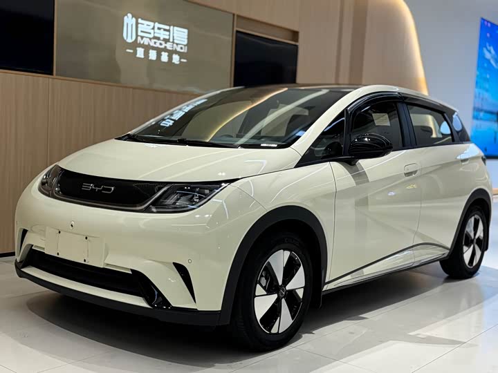 Фото 1 - BYD Dolphin