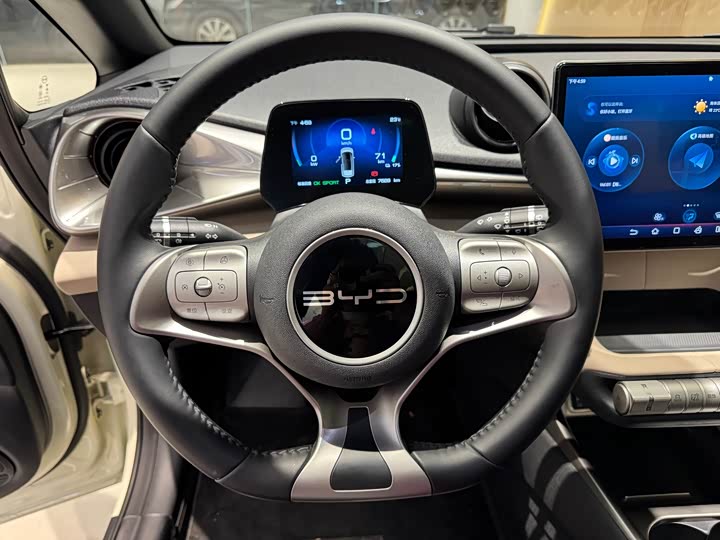 Фото 13 - BYD Dolphin