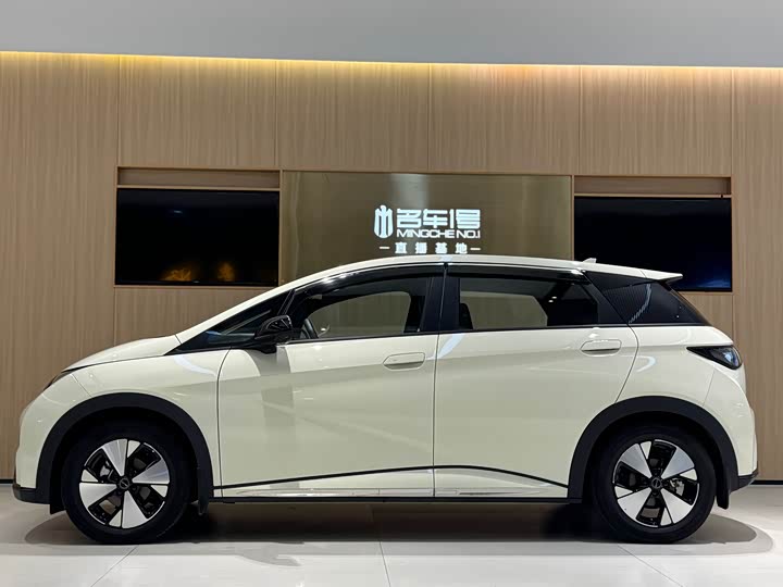 Фото 3 - BYD Dolphin