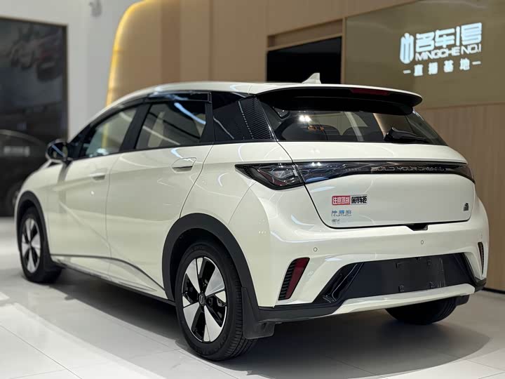 Фото 4 - BYD Dolphin