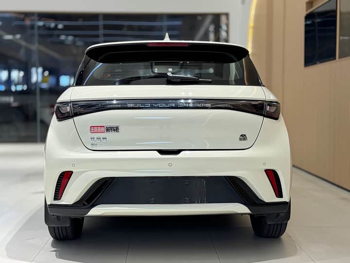 Фото 5 - BYD Dolphin