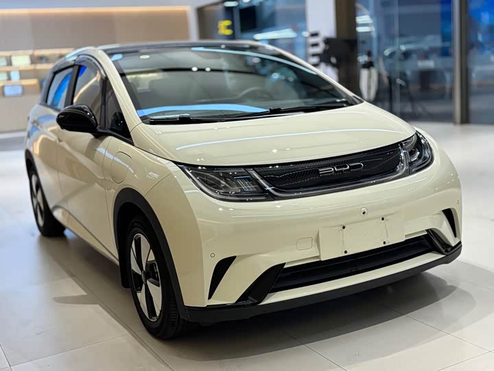 Фото 6 - BYD Dolphin