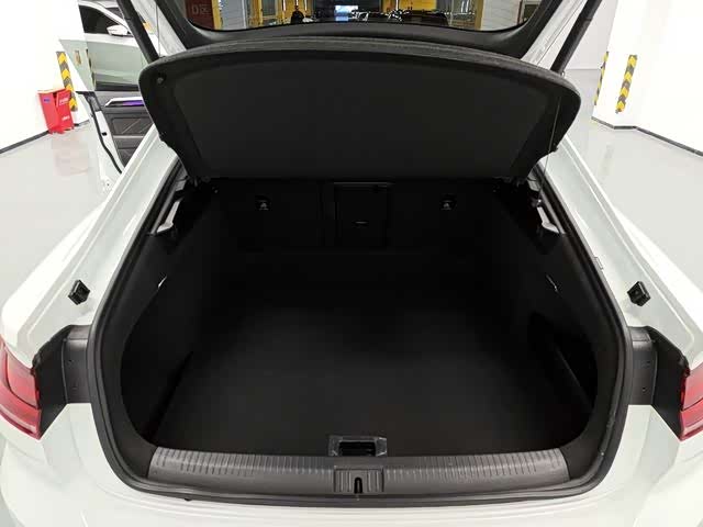 Фото 10 - Volkswagen CC