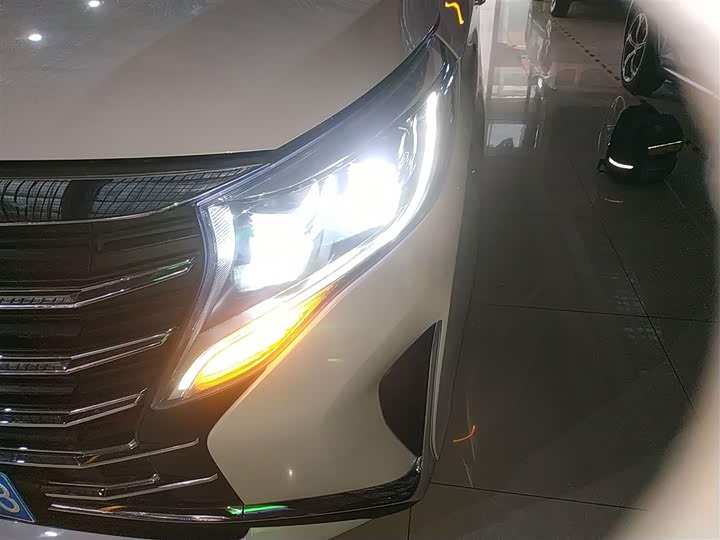 Фото 24 - GAC Trumpchi M8