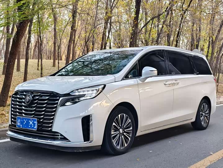 Фото 1 - Buick GL8 ES