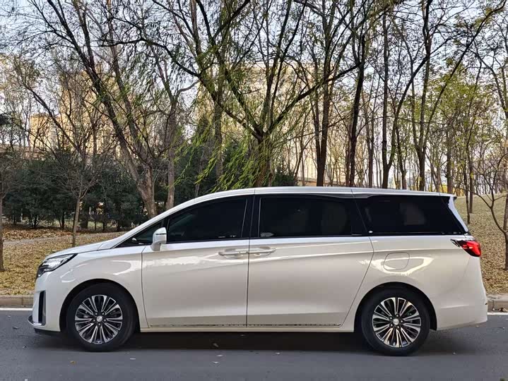 Фото 3 - Buick GL8 ES