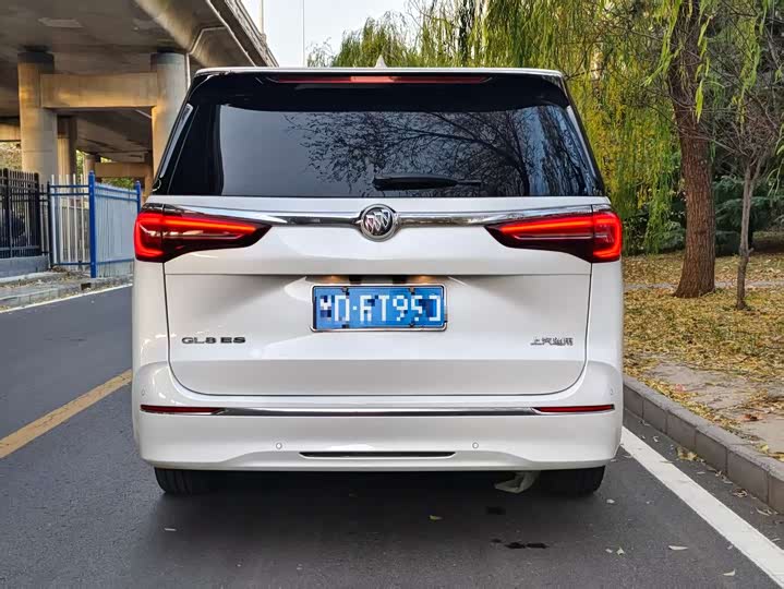 Фото 5 - Buick GL8 ES