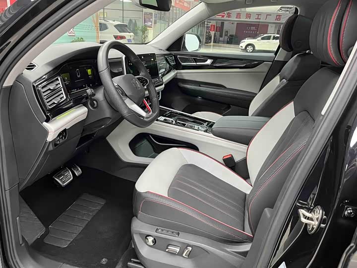 Фото 11 - Volkswagen Teramont X