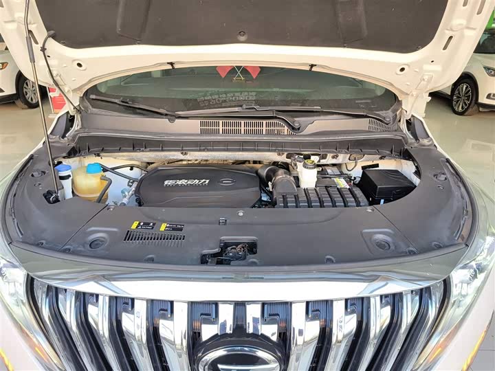 Фото 20 - GAC Trumpchi M8