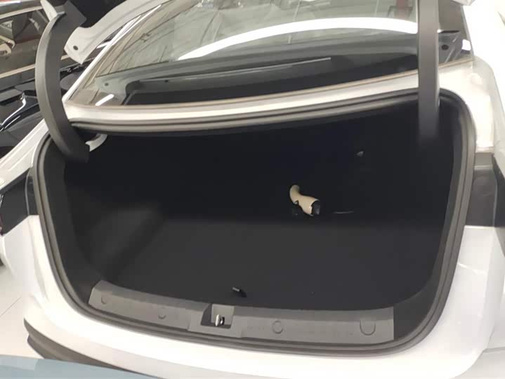 Фото 4 - BYD Qin L