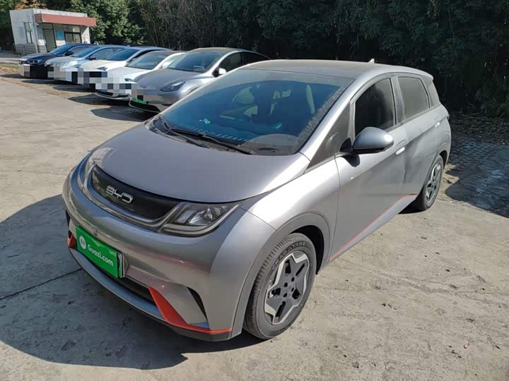 Фото 2 - BYD Dolphin