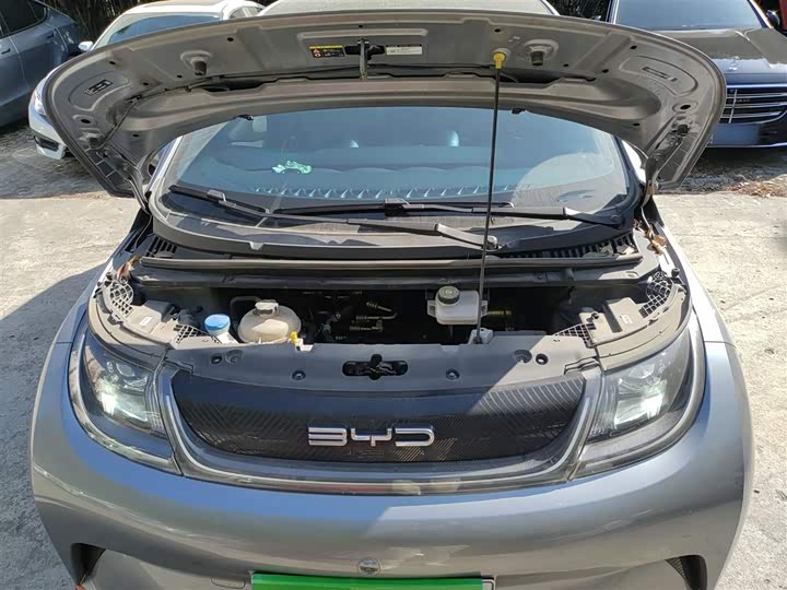 Фото 20 - BYD Dolphin