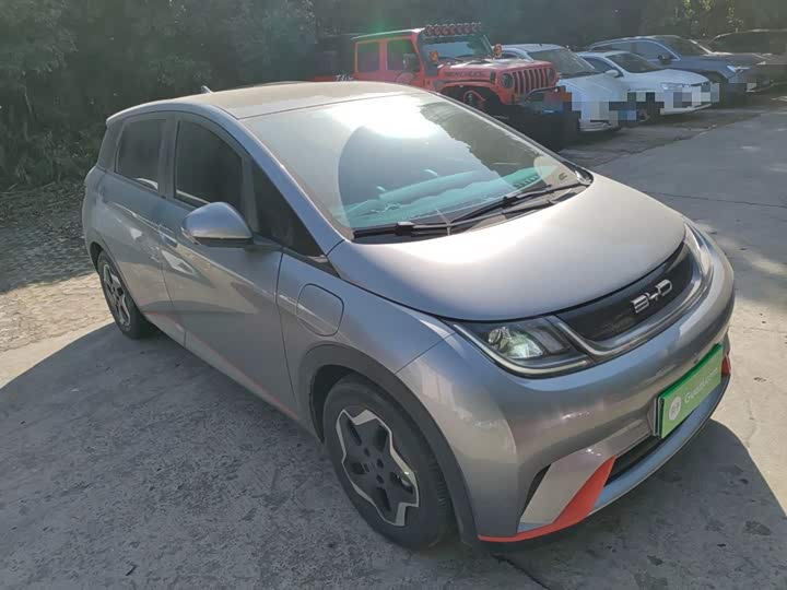 Фото 4 - BYD Dolphin