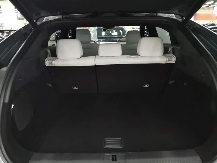 Фото 19 - XPeng G6