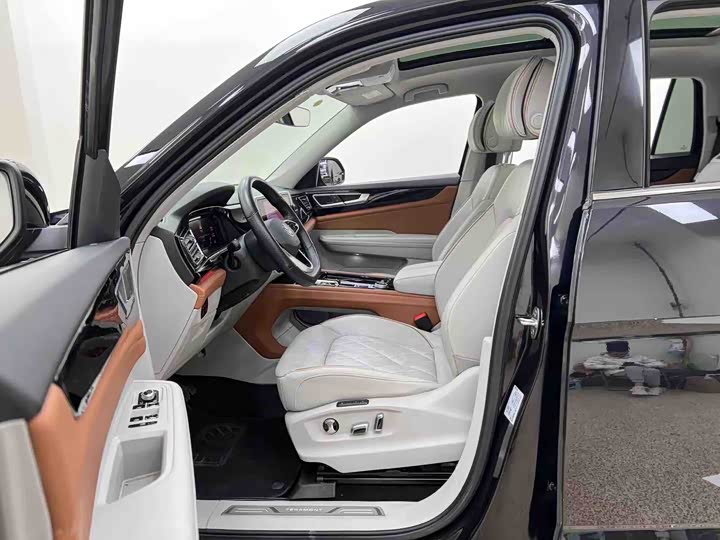 Фото 9 - Volkswagen Teramont Pro