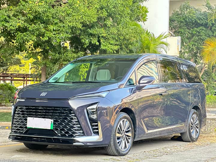 Фото 1 - Buick GL8 Hybrid