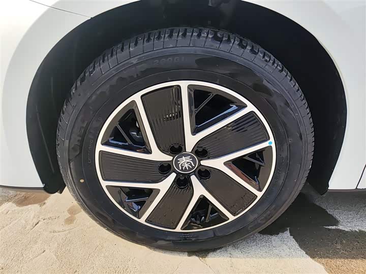 Фото 23 - BYD Qin L