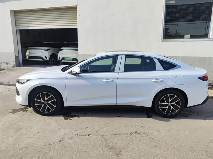 Фото 5 - BYD Qin L