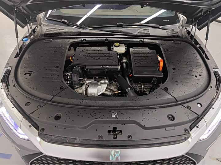 Фото 9 - BYD Han