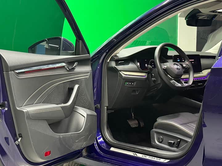 Фото 8 - Skoda Octavia Pro