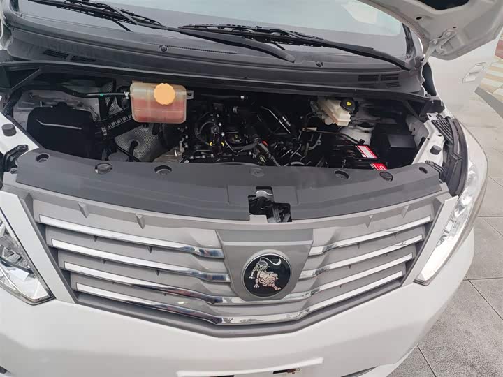 Фото 20 - Dongfeng Forthing Lingzhi Plus