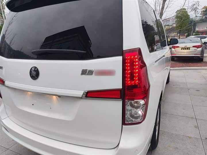 Фото 8 - Dongfeng Forthing Lingzhi Plus