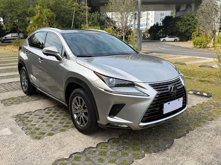 Фото 1 - Lexus NX