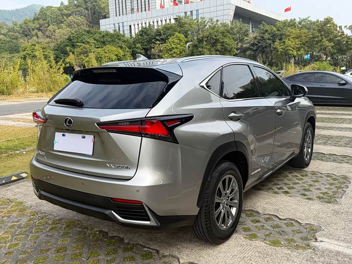 Фото 12 - Lexus NX