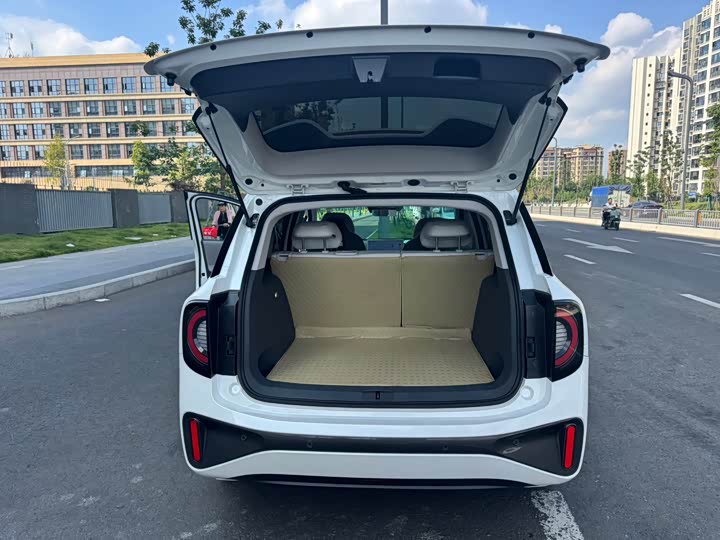 Фото 16 - BAIC Arcfox Kaola S