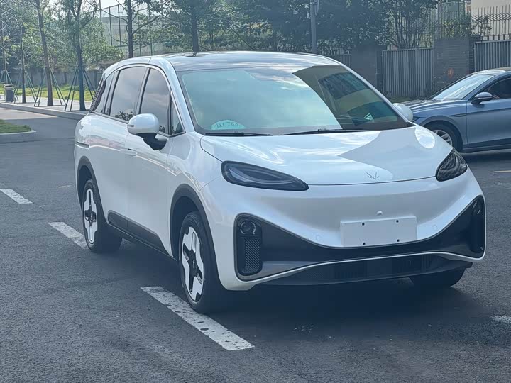 Фото 3 - BAIC Arcfox Kaola S