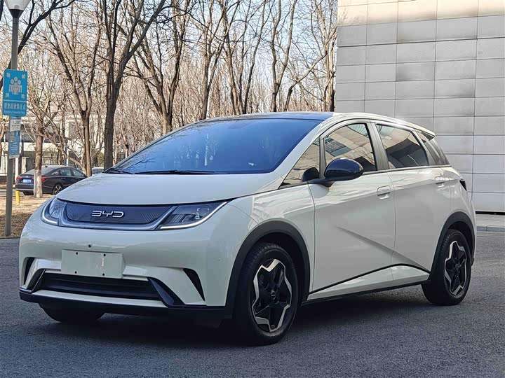 Фото 1 - BYD Dolphin