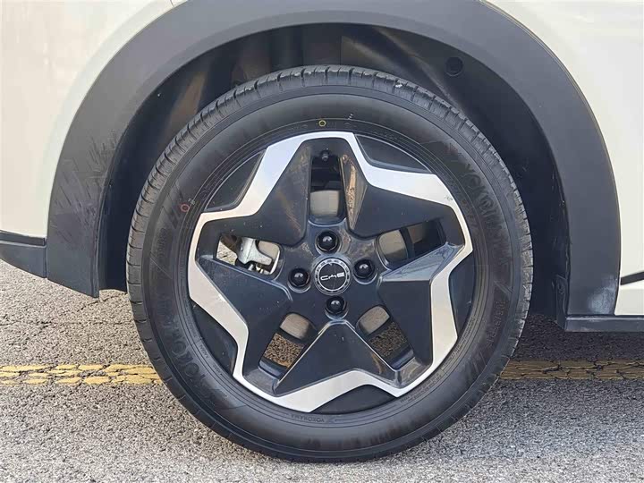 Фото 11 - BYD Dolphin