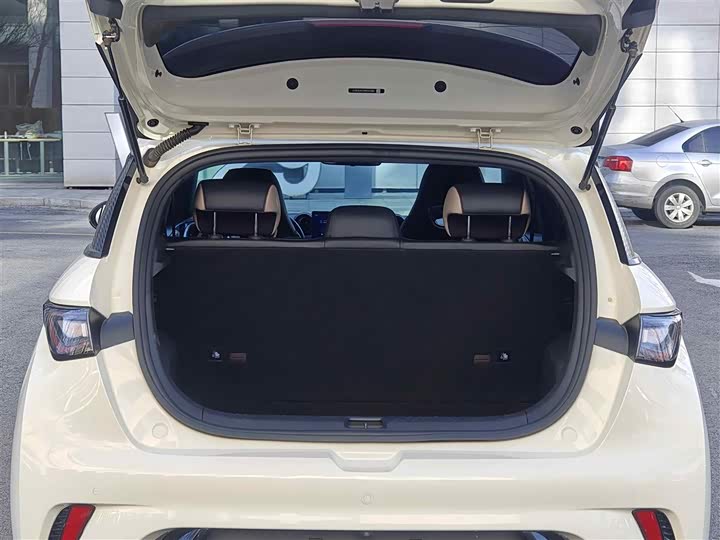 Фото 12 - BYD Dolphin