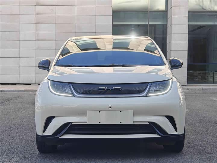 Фото 2 - BYD Dolphin