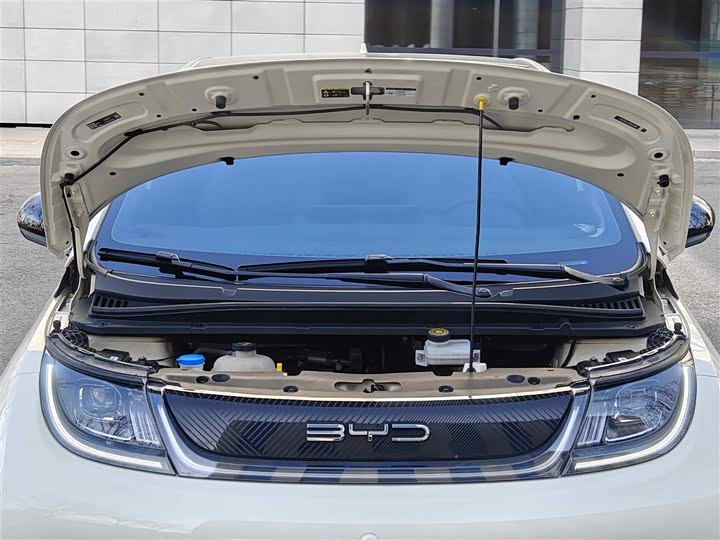 Фото 27 - BYD Dolphin