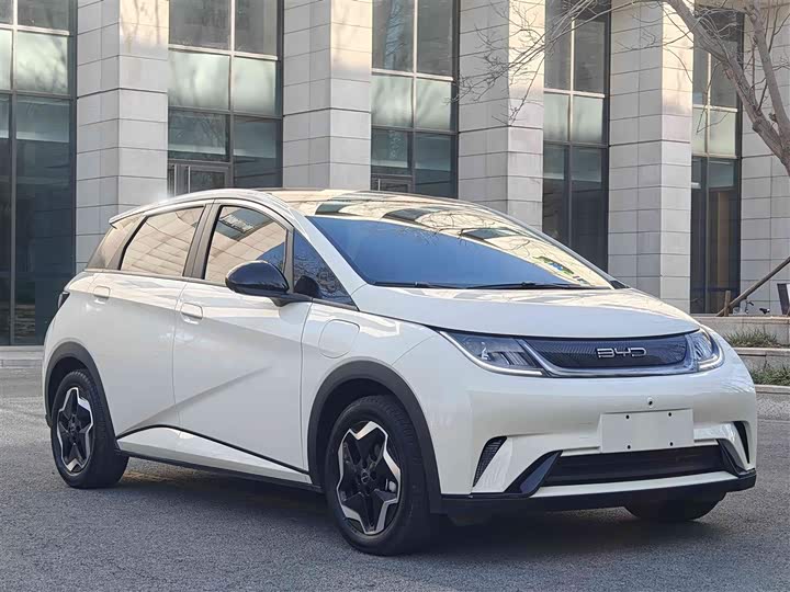 Фото 3 - BYD Dolphin