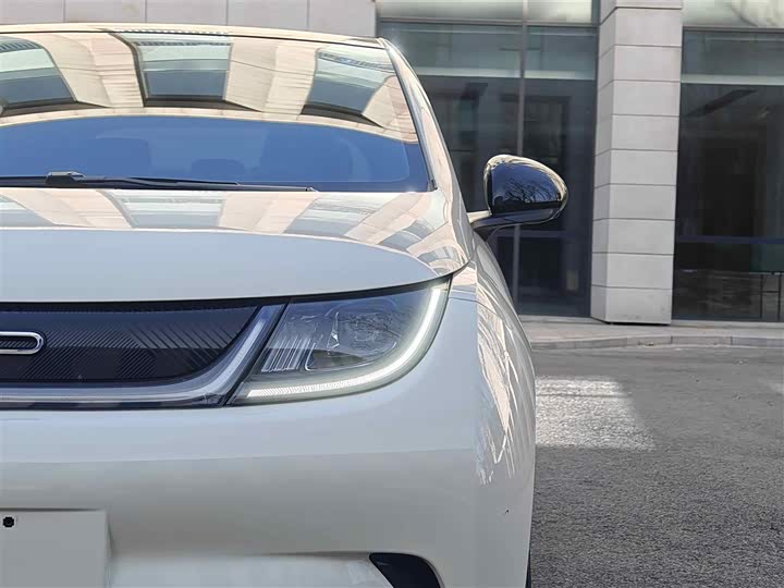 Фото 4 - BYD Dolphin