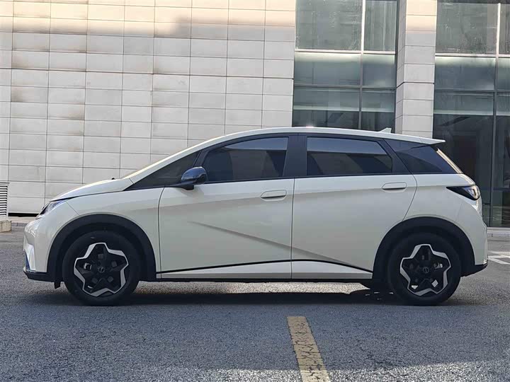 Фото 6 - BYD Dolphin