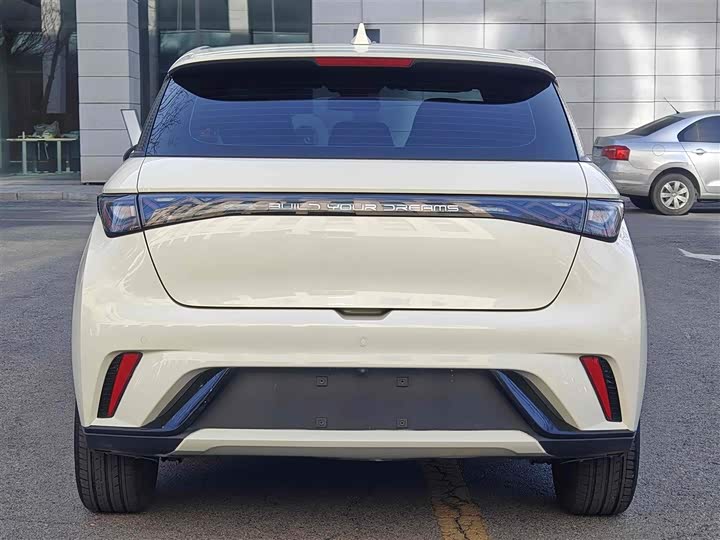 Фото 8 - BYD Dolphin