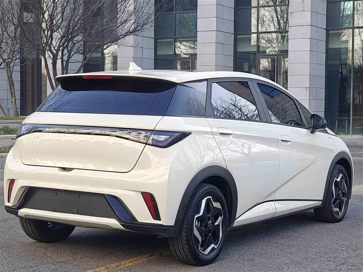 Фото 9 - BYD Dolphin