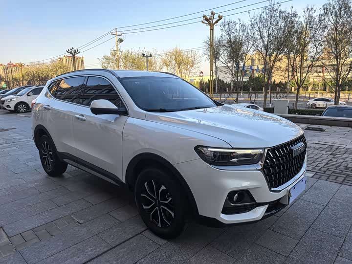 Фото 3 - Haval H6
