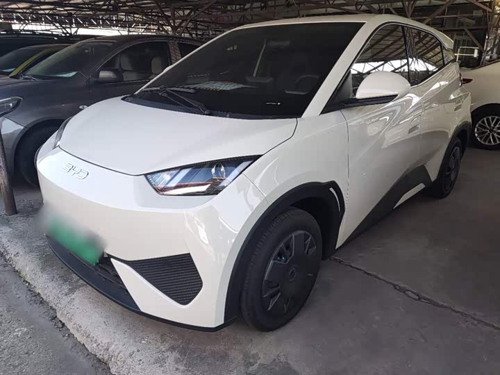 Фото 2 - BYD Seagull