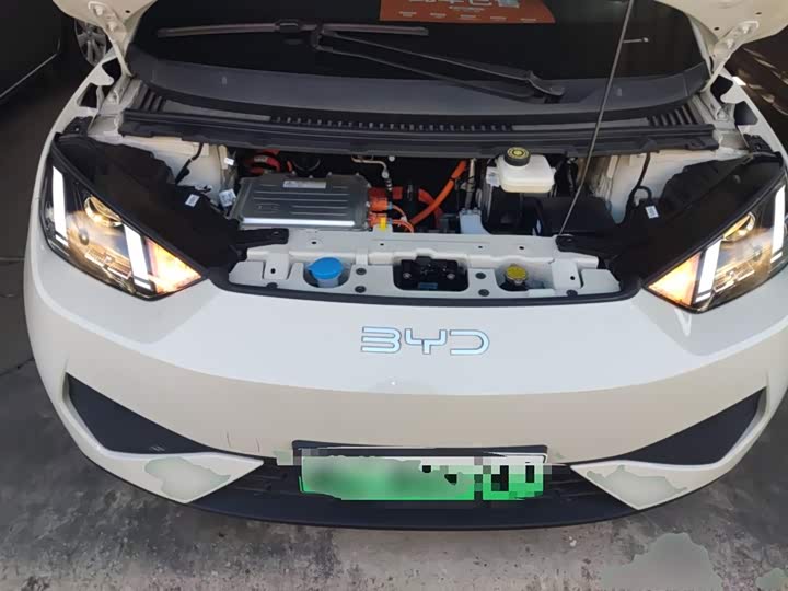 Фото 20 - BYD Seagull