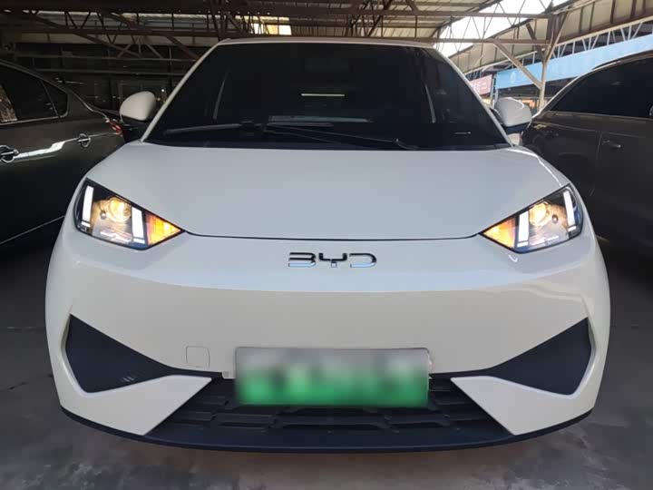 Фото 3 - BYD Seagull