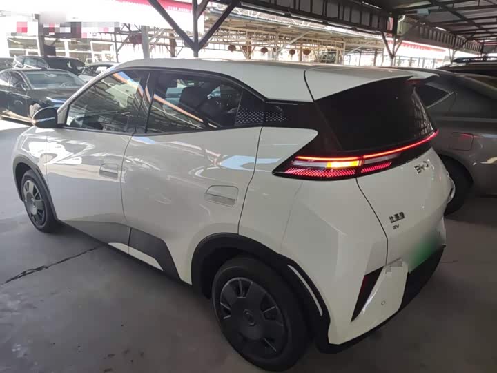 Фото 5 - BYD Seagull