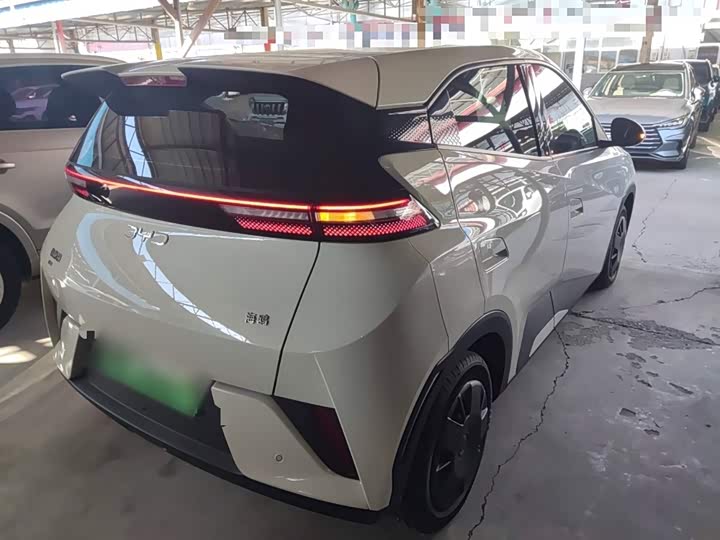 Фото 7 - BYD Seagull