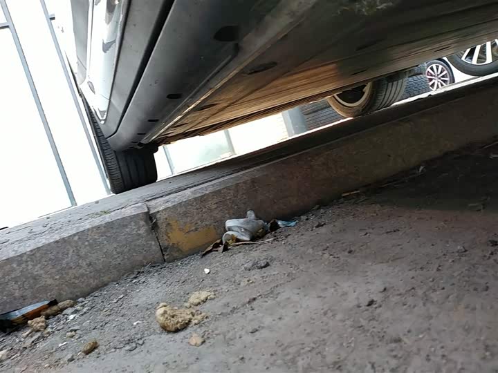 Фото 21 - Smart #1