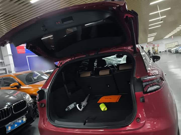 Фото 19 - BYD Tang Hybrid/EV