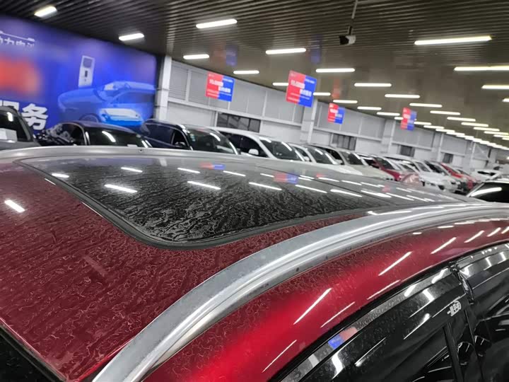 Фото 27 - BYD Tang Hybrid/EV